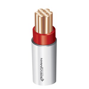 CABLE TPS 6.0MM 1C RED WHITE PRY 20199442