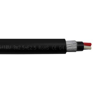 CABLE CIRC TPS SWA 2X2.5MM & E2.5MM BLK V90/5V90 0.6/1KV