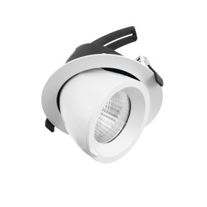 LED RECESS 45 TILT 355 ROTATE 25W 700MA CC WW-WH