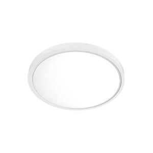 OYSTER LED 18W 3000/4000/57000K IP54 300X52MM VO183