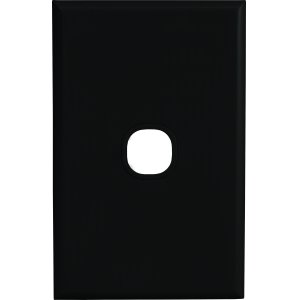 PLATE 1G BLK 2S1PB HOME