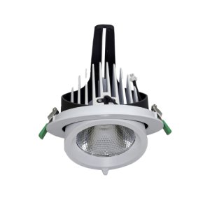 DOWNLIGHT LED GIMBLE RND 24W 4000K IC-F IP20 WHT CARMEL