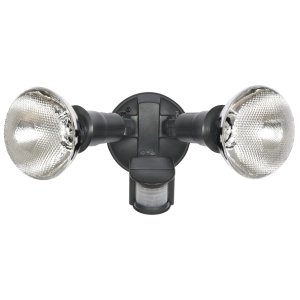 HPM ES69 + GLOBES VALUE PACK HPES69BVP