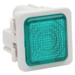 610MNGNWH PDL NEON MODULE WHT/GREEN