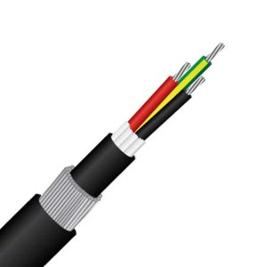 CABLE CONTROL POWER 2C+E 10MM BLK MASER 0.6/1KV SWA