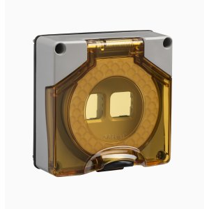 (I) COVER SWITCH 1G 2 HOLE 300 MODULE IP66 RES GRY