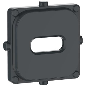 MODULE CAP USB TYPE C ANTHRACITE PDL