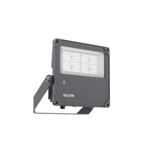 FLOODLIGHT SEL 50W,75W,100W 4K/57K 90 X60  (T38 ) ND 240V