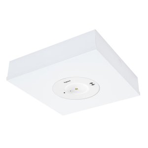 LIGHT EMERGENCY FLEXO SATELLITE SURFACE D40 WHITE LEGRAND