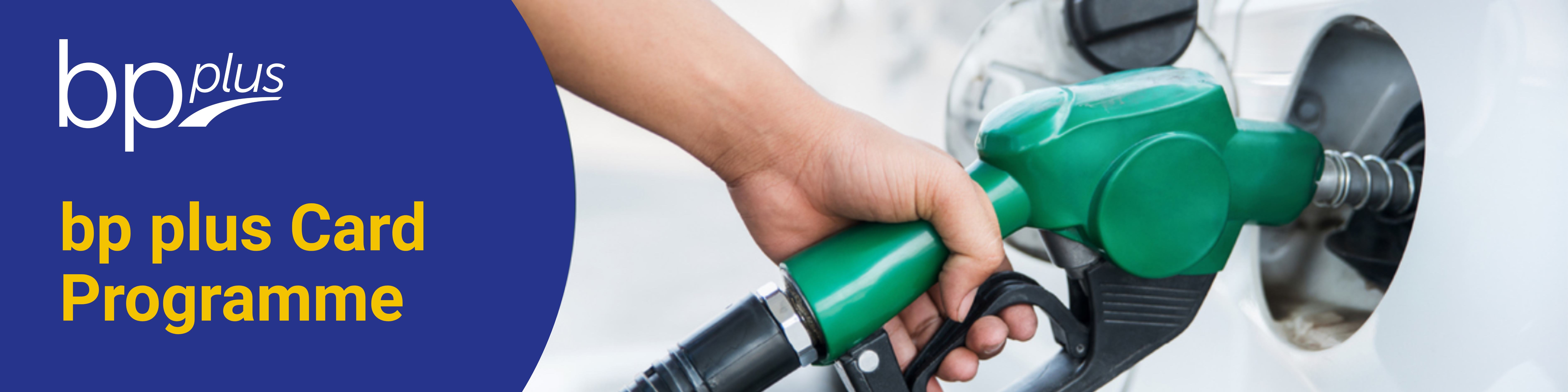 BP Plus Brand Banner